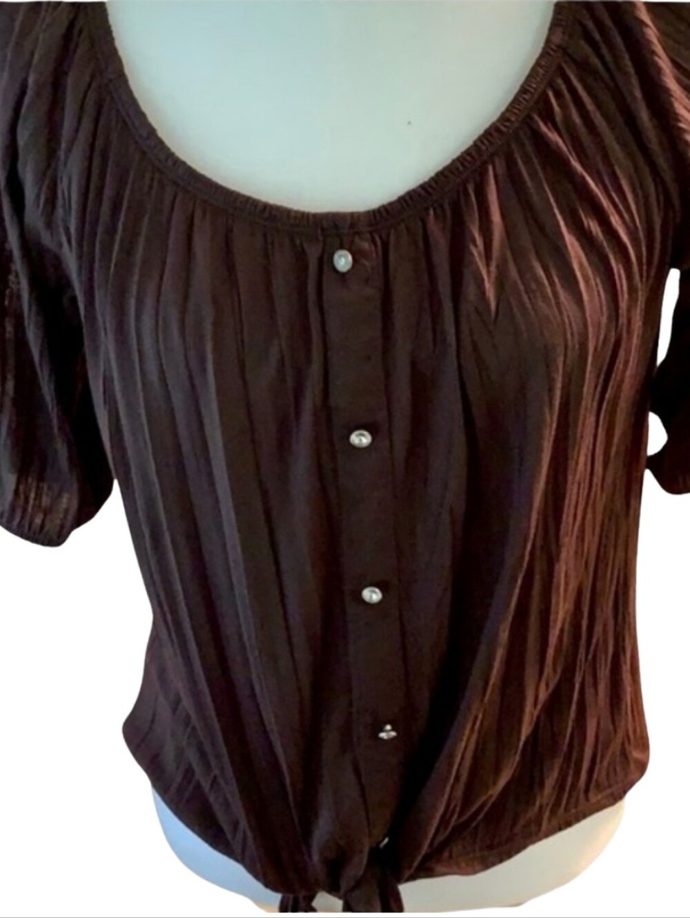NWOT French Laundry Tie Blouse, Brown, Sz S